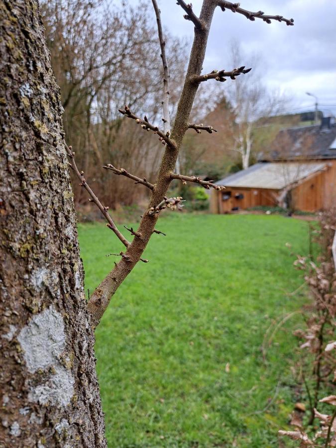 La Ptit Marie Villa Уфализ Екстериор снимка